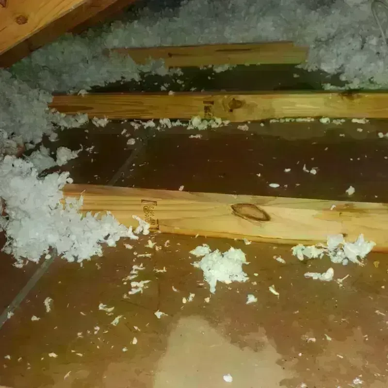 Attic Water Damage in Orange County, NC