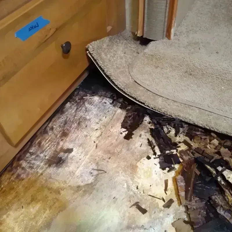 Best Wood Floor Water Damage Service in Orange County, NC